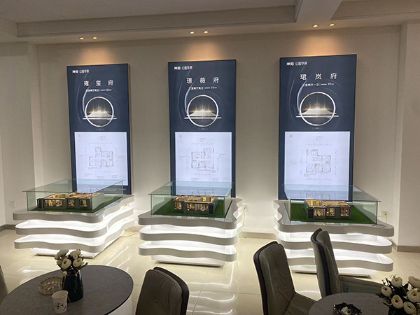 白银坤阳华府地产崇信户型模型